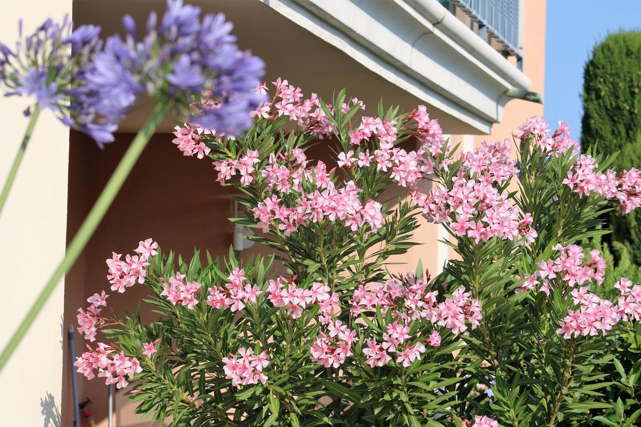 Appartement Les Pins Bleus A8 생트막시메 외부 사진